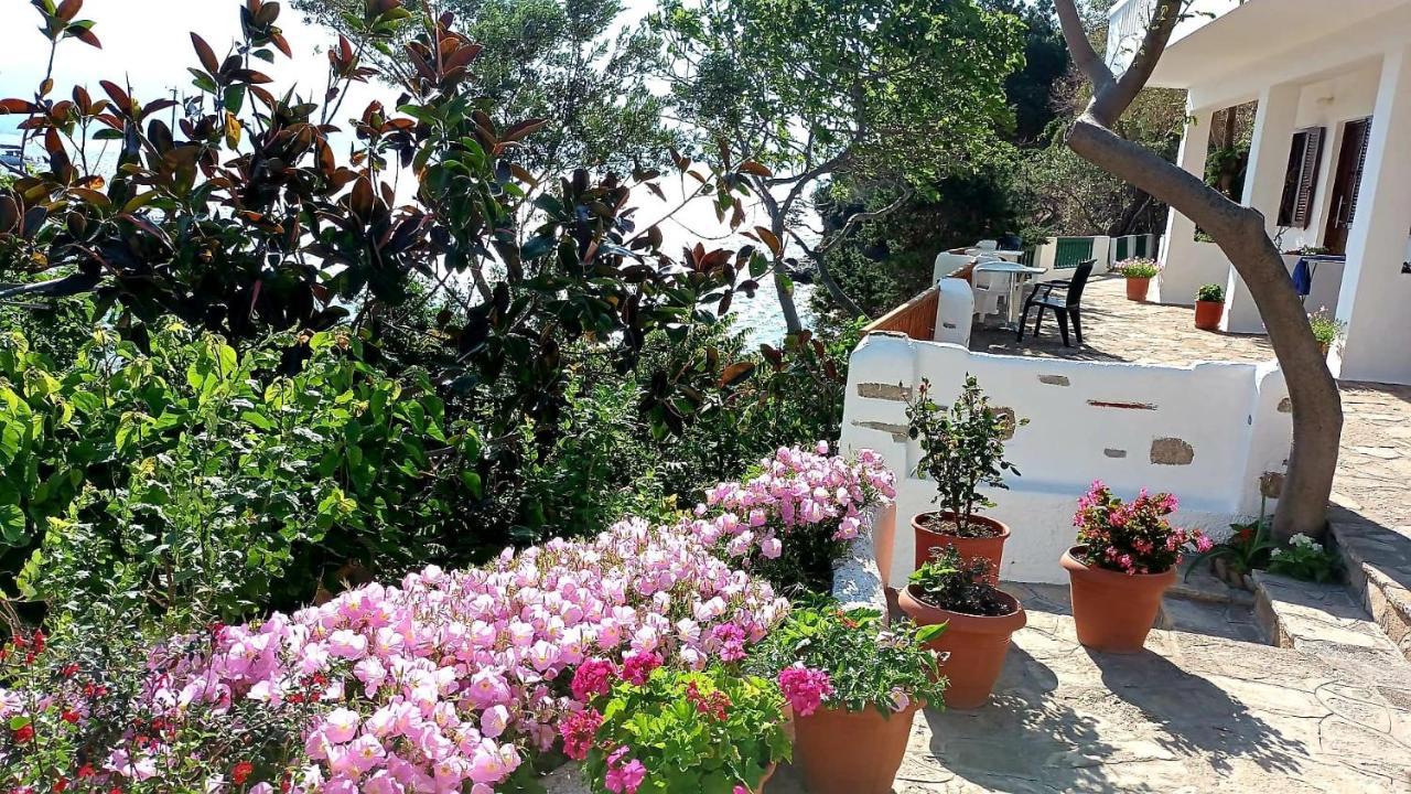 Studios Limnionas ماراثوكابوسْ المظهر الخارجي الصورة